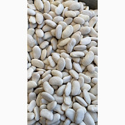 Продам квасолю, Київ. Україна