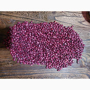 Продам квасолю, Київ. Україна