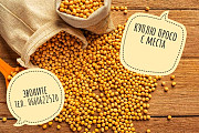 Куплю ПРОСО дорого з місця, Дніпропетровська область. Украина