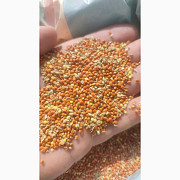 Продам Просяне Червоне, Рівненська область. Украина