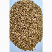 Продам просо жовте органічне за стандартом Organic Standard (Panicum miliaceum) - 400 тонн, без готі Украина
