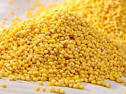 Продам просо жовте 4000 тонн, Одеська область, Суворове. Украина