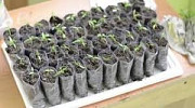 Продам плівку для теплиці та іншу продукцію від виробника, Кіровоградська область. Украина