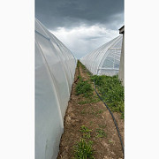 Теплична плівка Vatan Plastik - найкраща якість з Туреччини 2023, Тернопільська область. Украина
