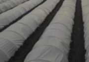 Плівка теплоізоляційна 40 мкм Vatan Plastik, Київська область. Украина