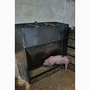 Кормушка-бункер для свиней, Харківська область. Украина