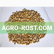 Нут половинки продам, Полтавська область. Україна