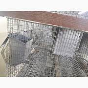 Продам клітки для полігамного утримання шиншил, Полтавська обл. Украина
