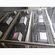 Продам клітки для полігамного утримання шиншил, Полтавська обл. Украина