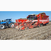 Картоплезбиральний комбайн Grimme Tectron 415, Львівська область. Україна
