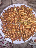 Цибуля сіянка (гарбузика) Дельфін, Штутгарт, Чеботарський, Одеська область. Украина