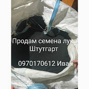 Продам насіння цибулі Штутгарт, Одеська область. Украина