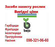 Розпродаж залишків насіння овочів Bejo (Нідерланди), Vilmorin (Франція) за хорошими цінами, Волинськ Украина