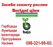 Продам фірмові якісні насіння овочів - недорого, Bejo, Vilmorin, Нікерсон, Волинська обл. Украина