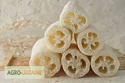 Продам насіння люцерни (рослина-мочалка), Херсонська область. Украина