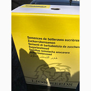 Портланд - насіння цукрового буряка від компанії "Лаєн Сідс", Київська область. Украина