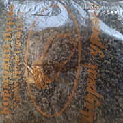 Продам насіння кормового буряка Урсус Полі, Чернігівська область. Украина
