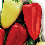Сім'я перцю з приватної колекції, Сумська область. Україна