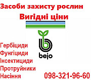 Професійні насіння моркви Vilmorin Франція, Bejo Нідерланди, Seminis, (Оптові ціни), Київ. Україна