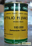 Сім'я моркви Аттіліо F1, Vilmorin (Франція), Кількість 100 000 насінин, недорого, розпродаж, Київ. Україна