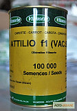 Сім'я моркви Аттіліо F1, Vilmorin (Франція), Кількість 100 000 насінин, недорого, розпродаж, Київ. Україна