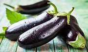 Продам насіння баклажана Лонг Вайалетт, Харківська область. Україна