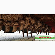 Ботвоудалитель GRIMME KS 75 x 4, Львівська область. Україна