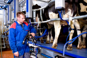 Обладнання DeLaval для молочно-товарних ферм ТОВ МОЛПАРТНЕР, Житомирська область. Україна