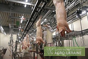Оборудование цехов убоя и обвалки свиней птицы крс, Львівська обл. Україна