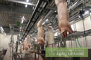 Оборудование цехов убоя и обвалки свиней птицы крс, Львівська обл. Україна