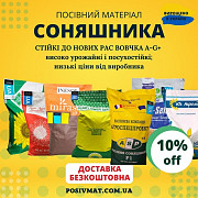 Насіння соняшнику та кукурудзи, Київська область. Україна