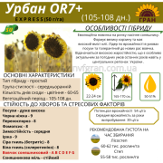 Насіння соняшнику та кукурудзи, Київська область. Україна