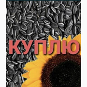 Куплю дорого! Відходи рапсу, сої, соняшнику, Одеська область. Україна