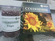 Насіння соняшника Євро, гібрид селекції ВНІС, Київ. Украина