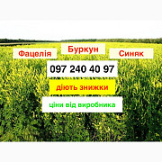 Продам Буряк по найнижчій ціні від виробника 60 грн/кг (опт), Дніпропетровська область. Украина