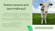Продаємо вушні бирки для ВРХ, свиней та вівців. Бориспіль