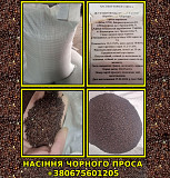 Продадим Семена ПРОСО / Просо посівне Дніпро