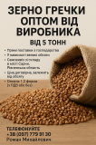 Гречка гуртом від виробника — прямі поставки, від 5 тонн доставка з м.Харків