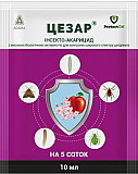 Цезар 100 мл Адама. Херсон