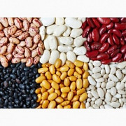 Фасоль у продажу різних сортів. Миколаїв