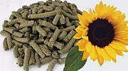 Продам шрот соняшниковий, зернові, борошно. Київ