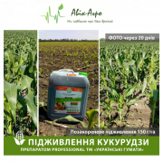 Органічне добриво Гумат калію. Українські гумати. Концентрат професійний. Кропивницький