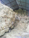 Сіно лучне у квадратних тюках. Полтава