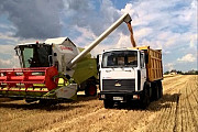 Перевезення зерна по Україні. Послуги зерновозів. Хмельницький