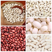 Продам квасолю. Купити квасоль. Миколаїв
