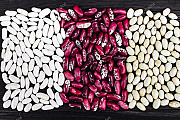 Продам квасоль. Куплю квасоль. Житомир