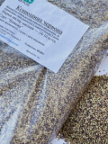 Продам насіння Конюшини Червоної! Київ