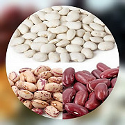 Продаж квасолі. Продам квасоль. Вінниця