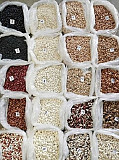 Купити квасоль в Україні. Продам квасоль. Тернопіль