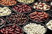 Продам квасоль. Доставка по Україні. Харків
